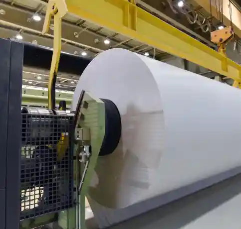 pulp & paper industry